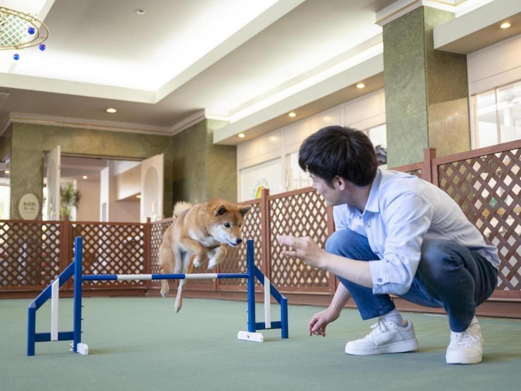 Izumigo Lake Hamanako Dog Paradise Hotel Хамамацу Екстериор снимка