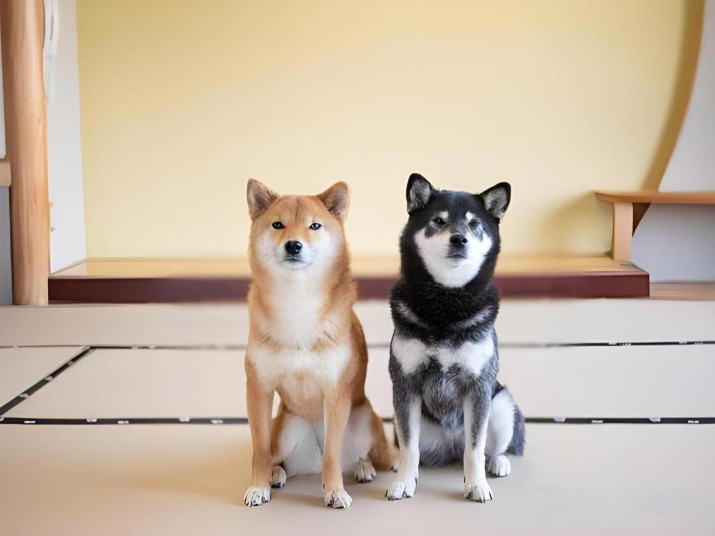 Izumigo Lake Hamanako Dog Paradise Hotel Хамамацу Екстериор снимка