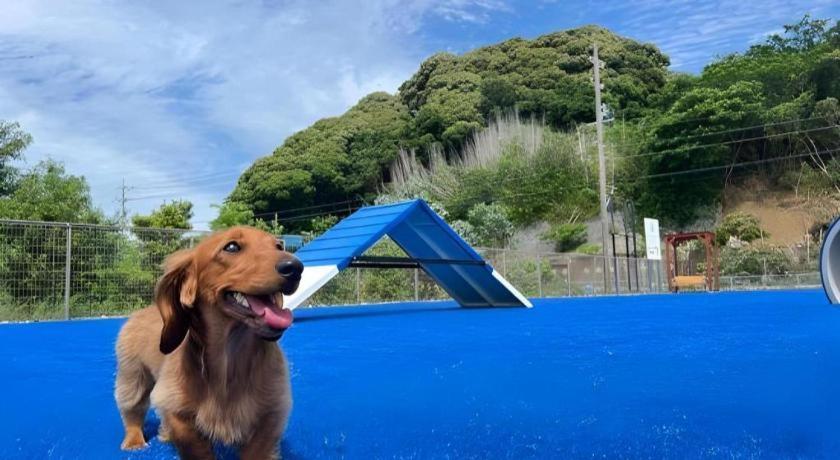 Izumigo Lake Hamanako Dog Paradise Hotel Хамамацу Екстериор снимка